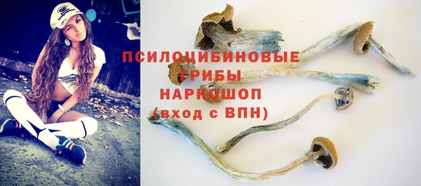 MESCALINE Михайлов