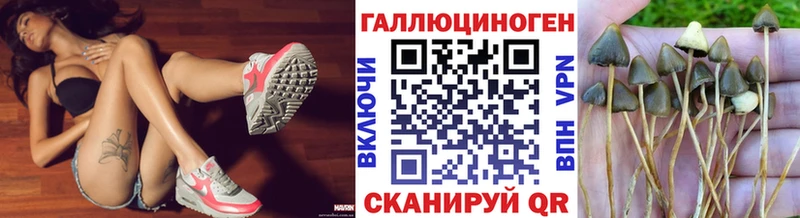 Купить  Новомичуринск  Псилоцибиновые грибы Cubensis 